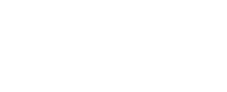 Layyr